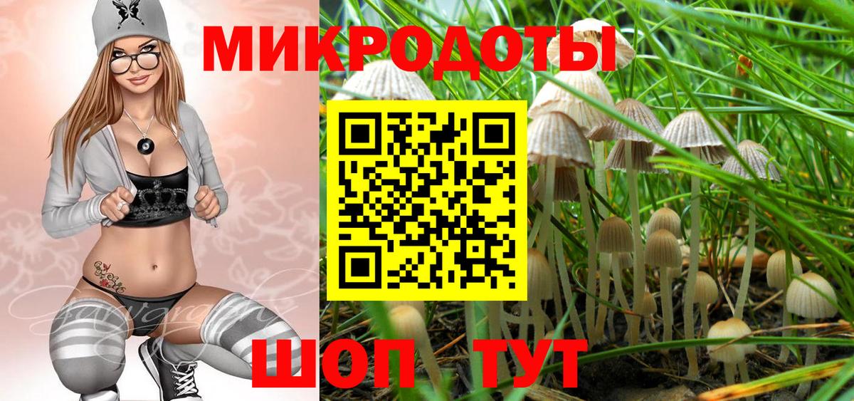 Галлюциногенные грибы Psilocybine cubensis  Вход с VPN  Кулебаки 