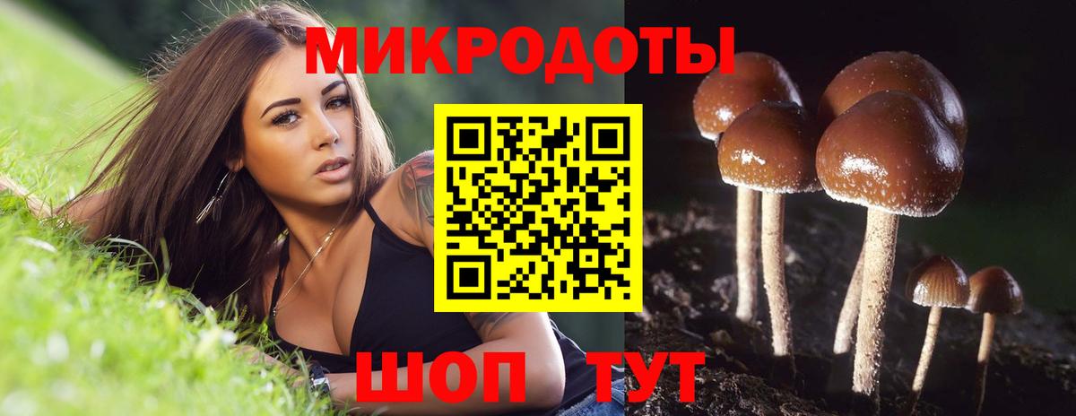 Галлюциногенные грибы мицелий Кулебаки